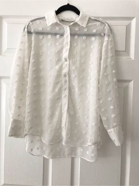 Zara Semi-Sheer Swiss Dot Button-Up Blouse in White
